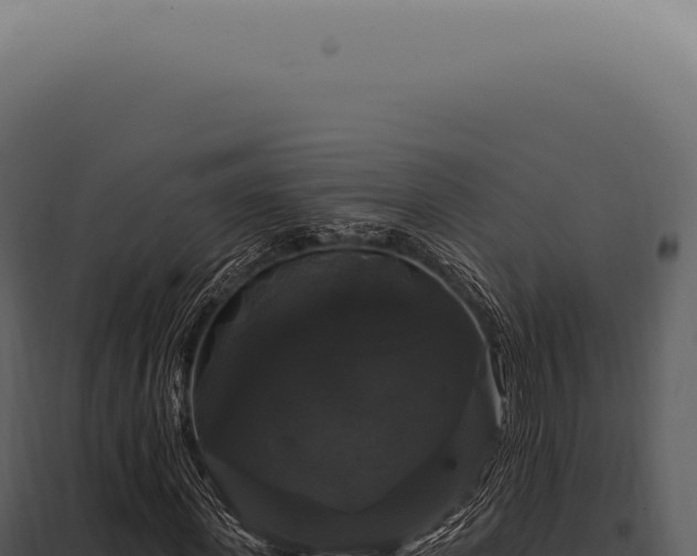 X0000097990915200804011805