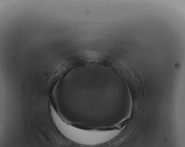 X0000097990916200804011805