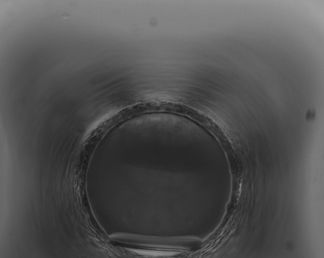 X0000097990919200804011805