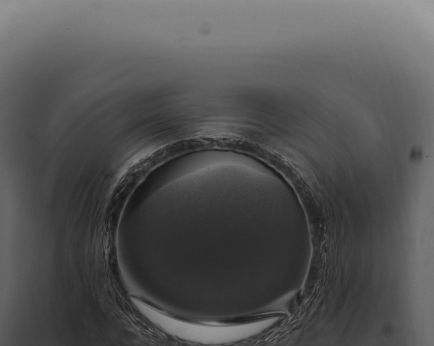 X0000097990920200804011805