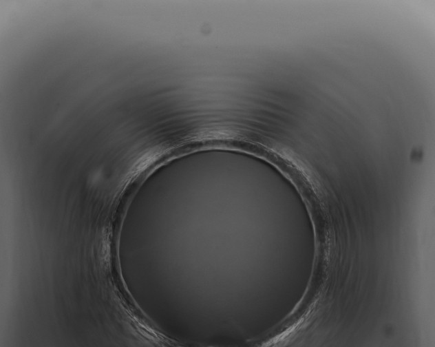 X0000097990921200804011805