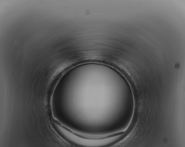 X0000097990922200804011805