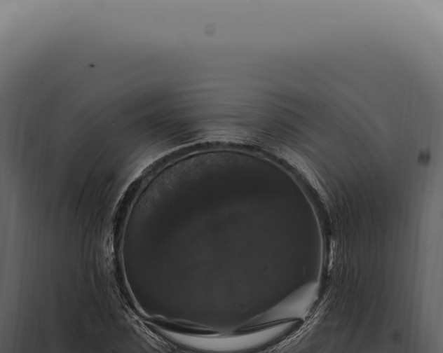 X0000097990923200804011805