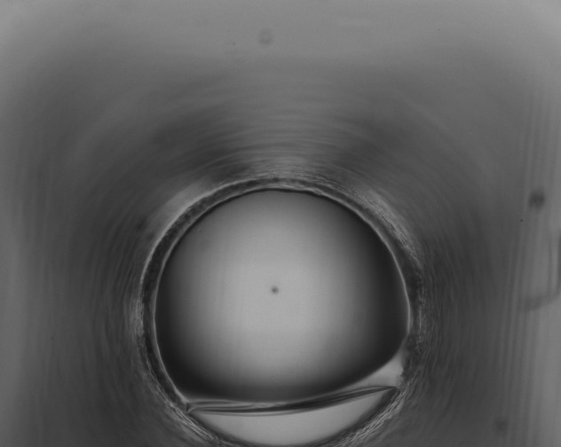 X0000097990924200804011805