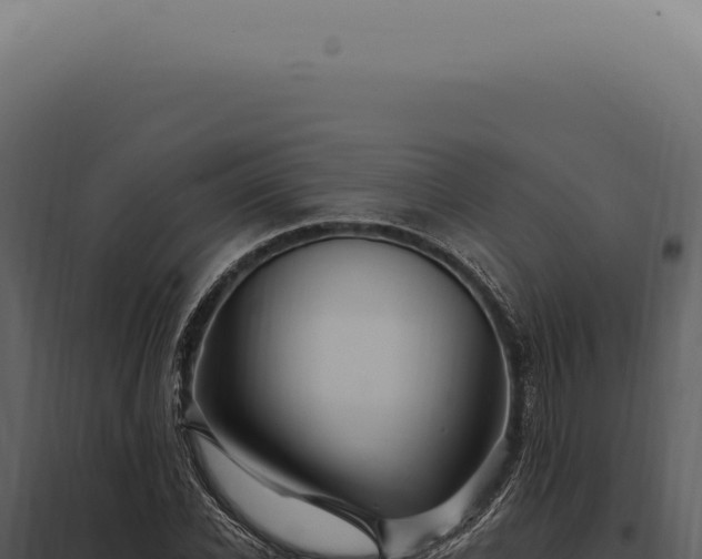 X0000097990926200804011805