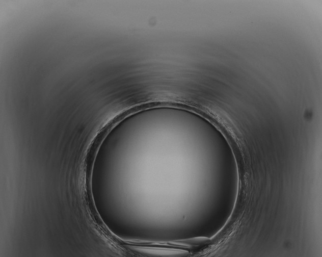 X0000097990931200804011805