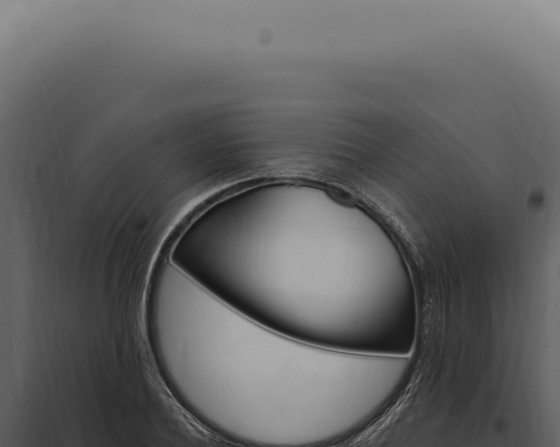 X0000097990932200804011805