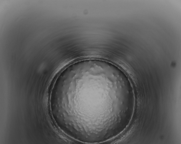 X0000097990933200804011805