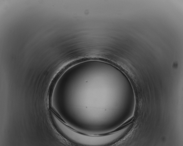 X0000097990934200804011805