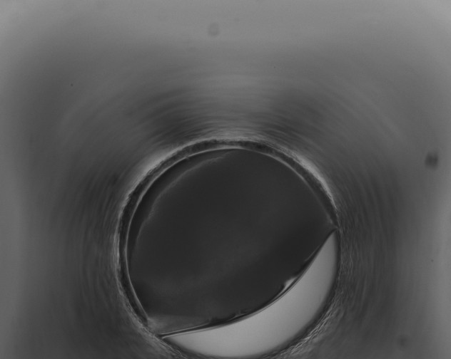 X0000097990935200804011805