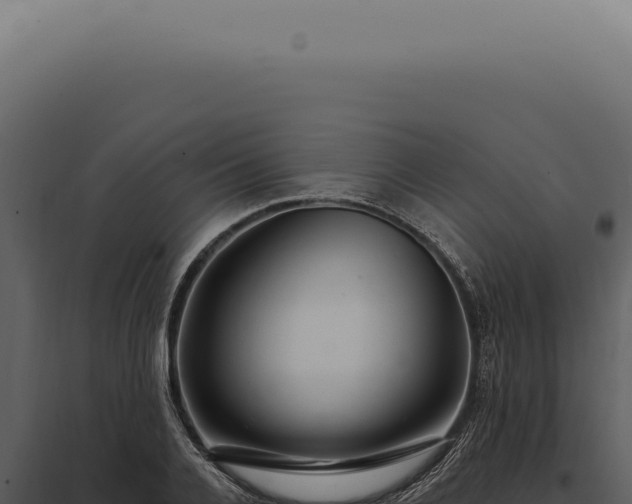 X0000097990936200804011805