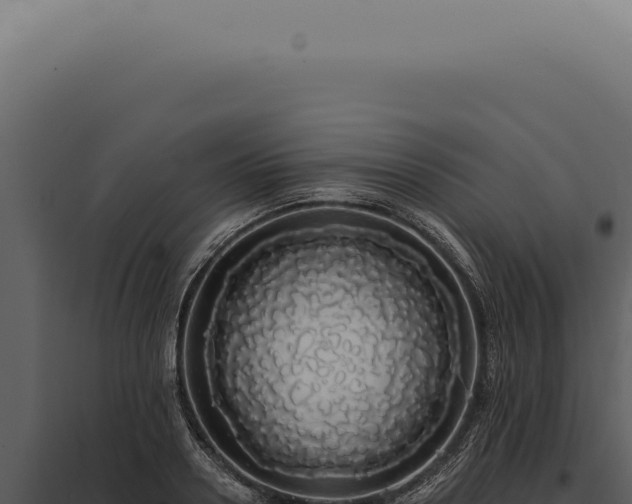 X0000097990938200804011805