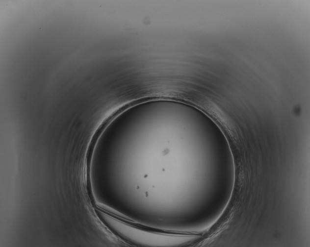 X0000097990940200804011805