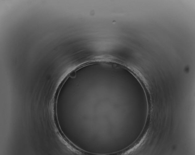 X0000097990941200804011805