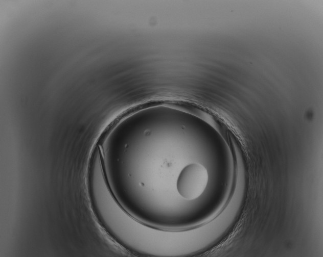 X0000097990942200804011805