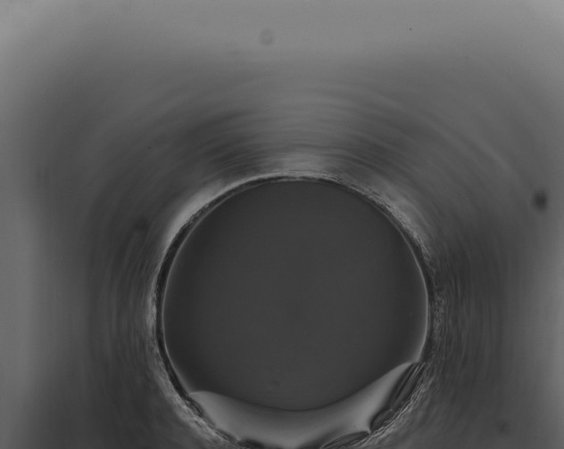 X0000097990944200804011805