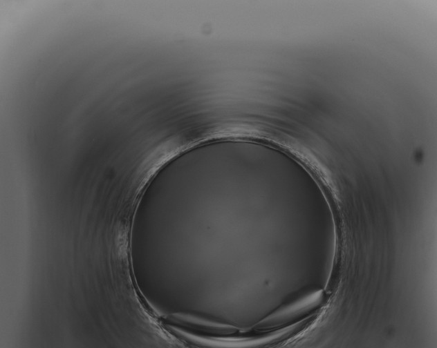 X0000097990945200804011805