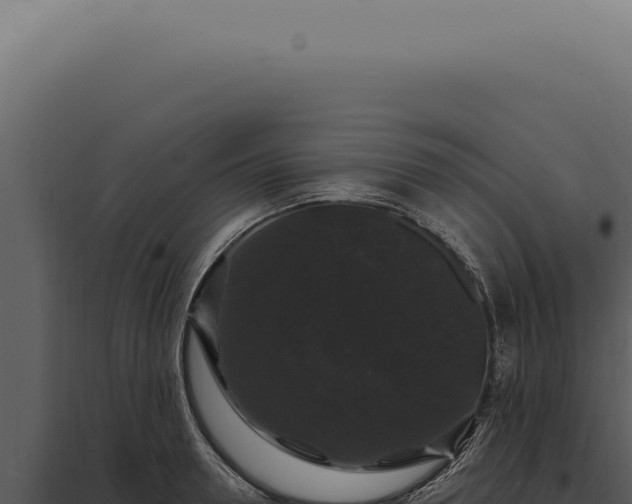X0000097990946200804011805