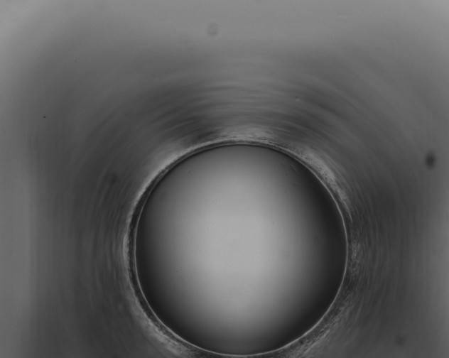 X0000097990947200804011805