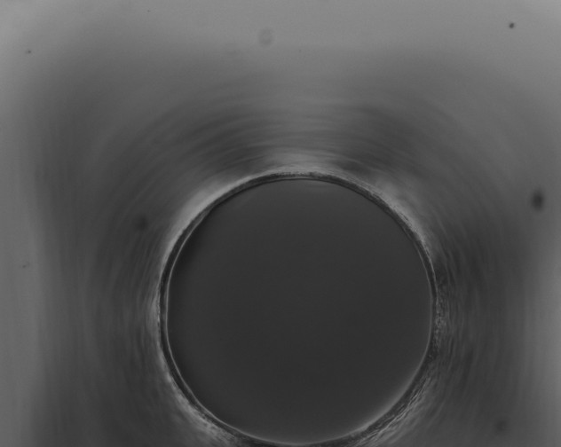X0000097990951200804011805