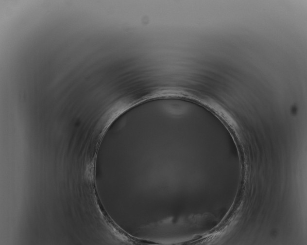 X0000097990953200804011805