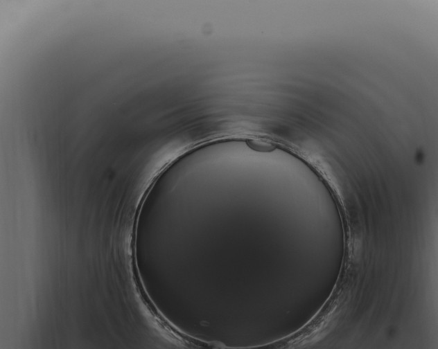 X0000097990954200804011805