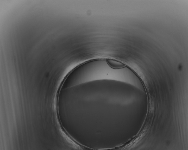 X0000097990958200804011805