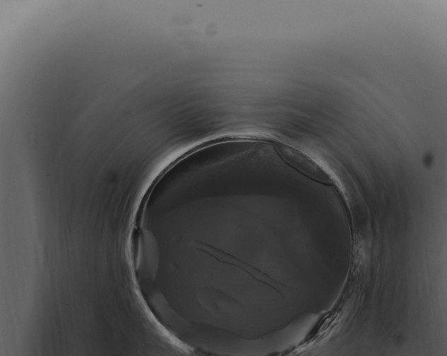 X0000097990959200804011805