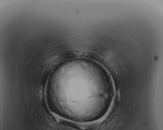 X0000097990963200804011805