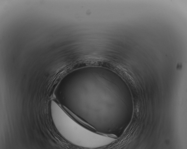 X0000097990964200804011805