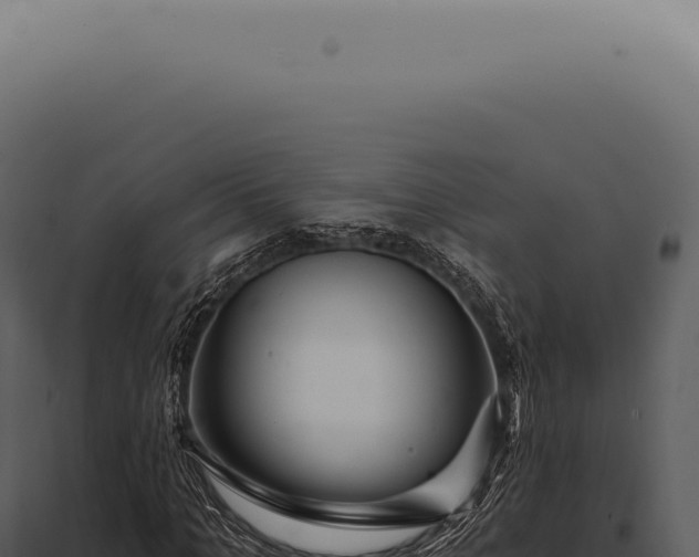 X0000097990965200804011805