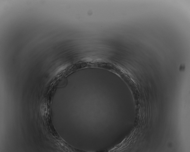 X0000097990966200804011805