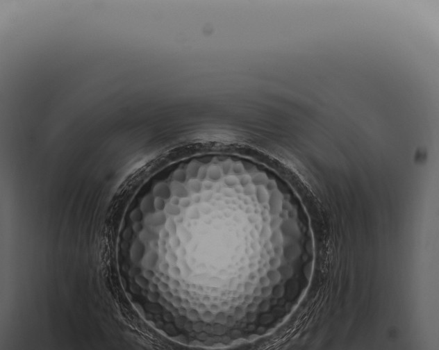 X0000097990967200804011805