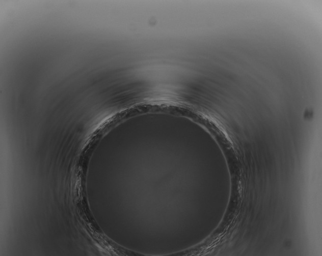 X0000097990968200804011805