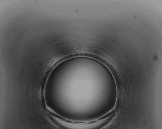 X0000097990969200804011805
