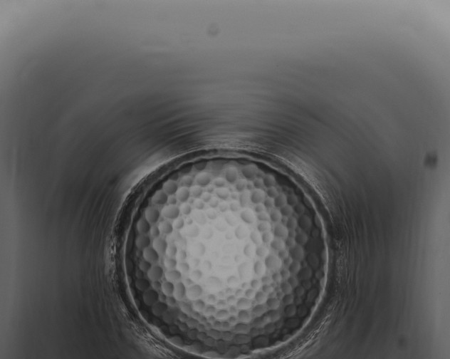 X0000097990971200804011804