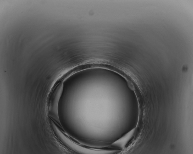 X0000097990973200804011804