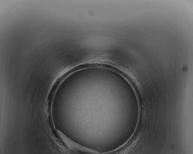 X0000097990974200804011804