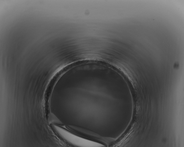 X0000097990975200804011804