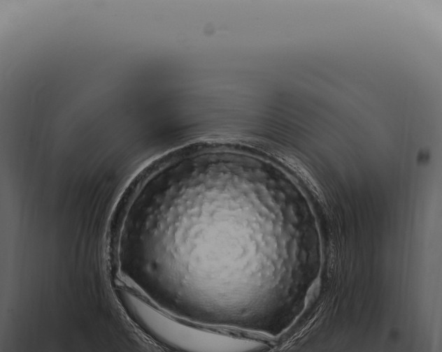 X0000097990976200804011804