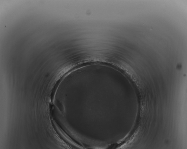 X0000097990977200804011804