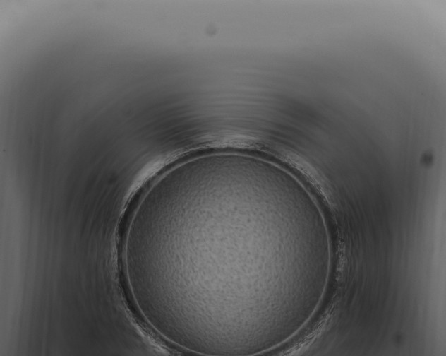 X0000097990978200804011804