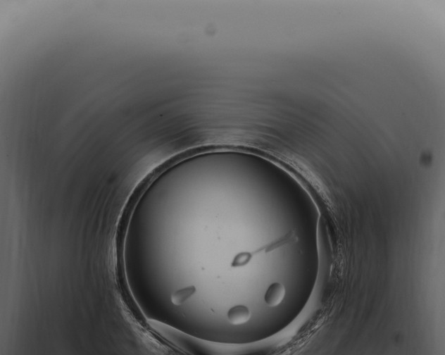X0000097990980200804011804