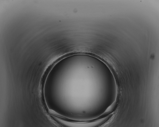 X0000097990981200804011804