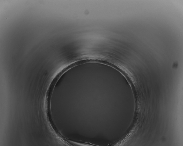 X0000097990983200804011804