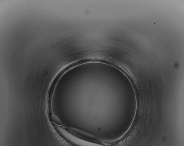 X0000097990984200804011804