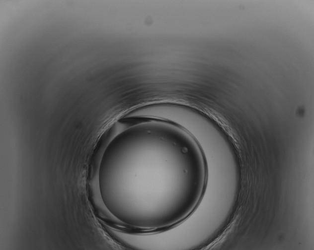 X0000097990985200804011804