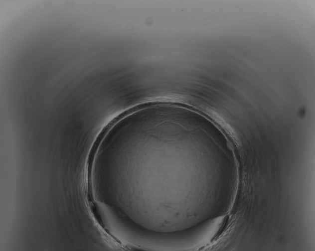 X0000097990988200804011804