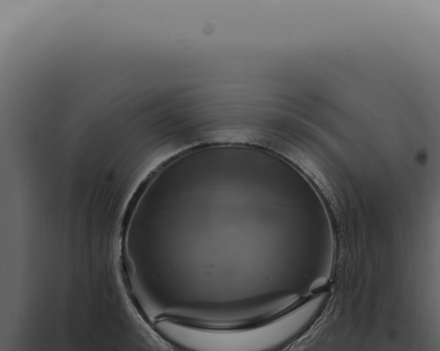 X0000097990992200804011804