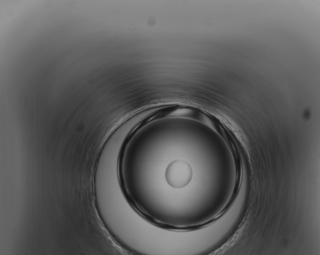 X0000097990993200804011804